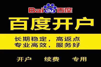 百度竞价包年推广案例：品牌提升的秘诀